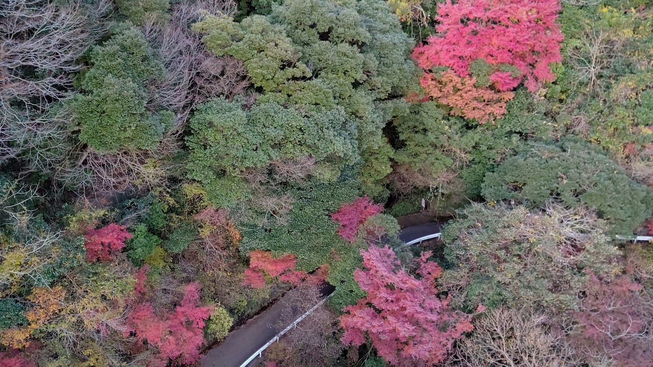 須津川渓谷の紅葉