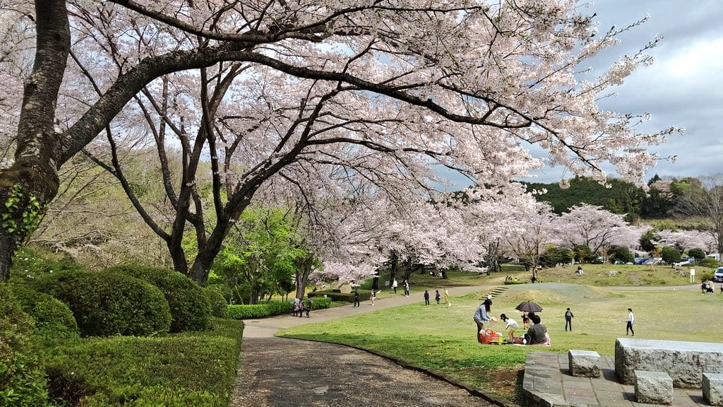 岩本山公園ライトアップ