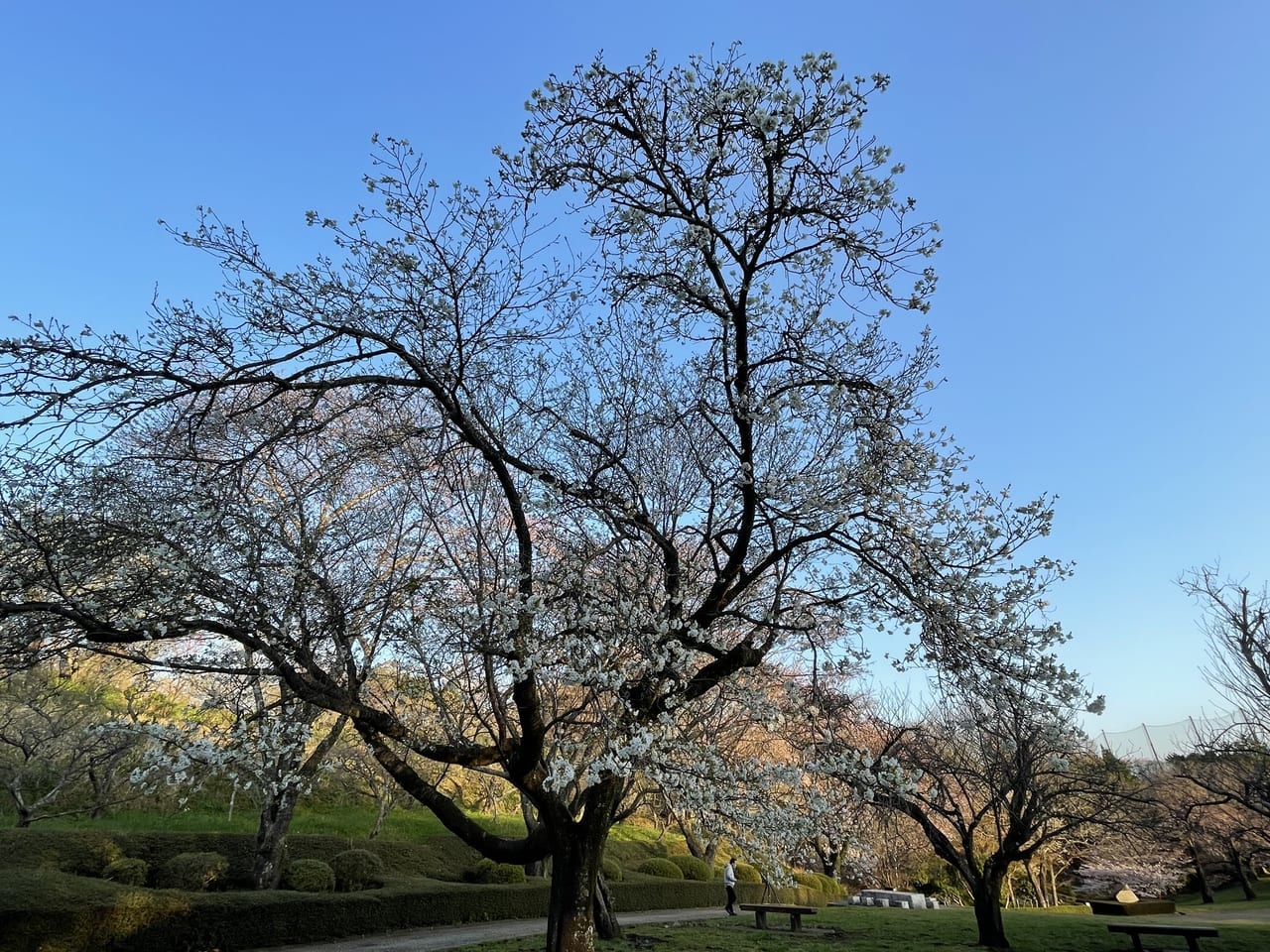 岩本山公園