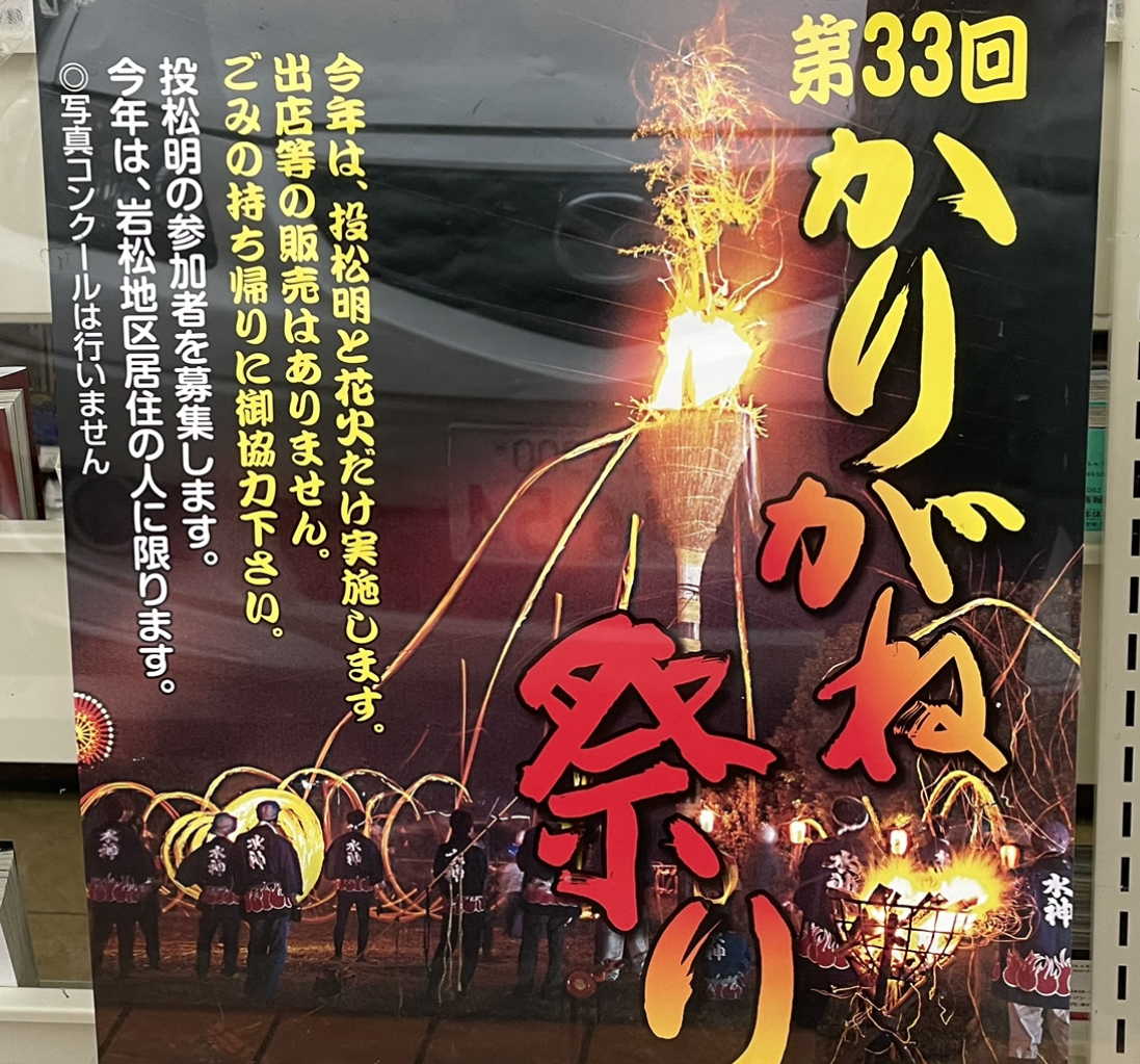 【富士市】「かりがね祭り」が3年振りに開催決定！投げ松明、花火あり！雁堤はキバナコスモスが見頃を迎えています！