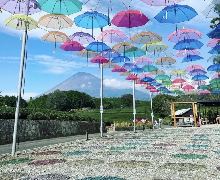 【富士市】春のこの時期にしか見ることのできない人気の絶景スポットへ行ってみよう!イベントもあります! | 号外NET 富士市・富士宮市